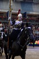 Cavalry - 00250
